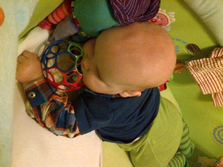 Bild zu