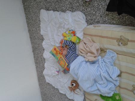 Bild zu