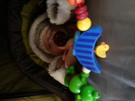 Bild zu