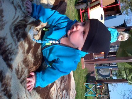 Bild zu