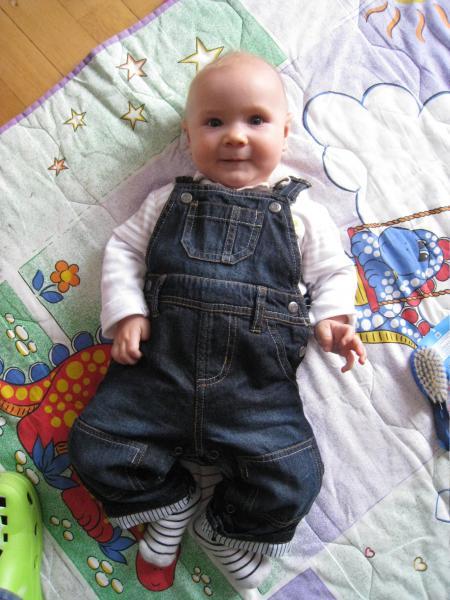 Bild zu