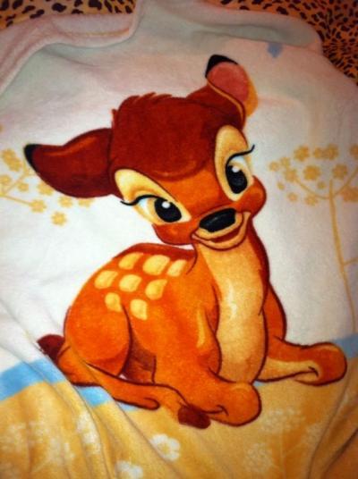 Bild zu Bambi decke - Forum für September - Mamis