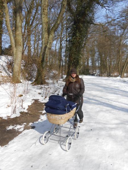 Bild zu 