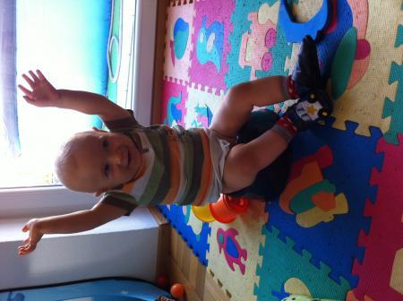 Bild zu