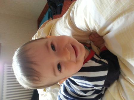 Bild zu