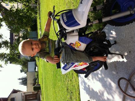 Bild zu