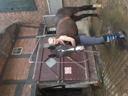 Bild zu