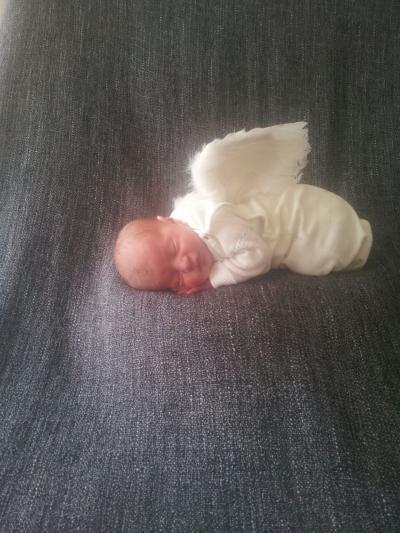 Bild zu foto von unseren maus - Forum für September - Mamis