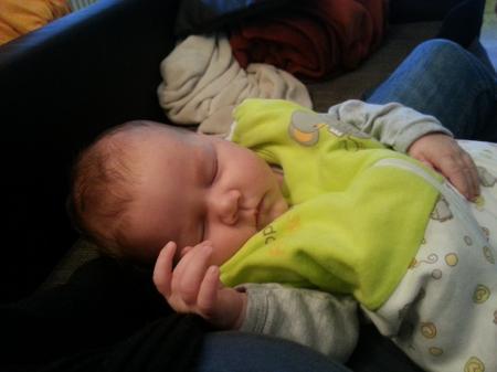 Bild zu 