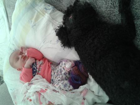 Bild zu 