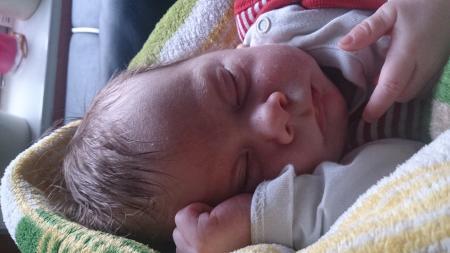 Bild zu 