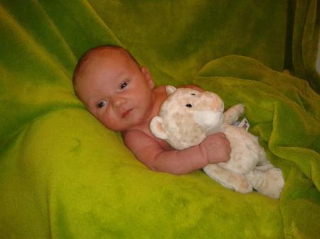 Bild zu