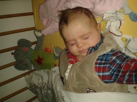 Bild zu 
