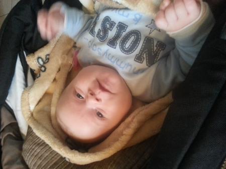 Bild zu 