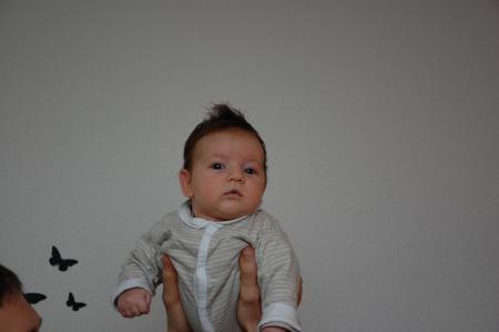 Bild zu 