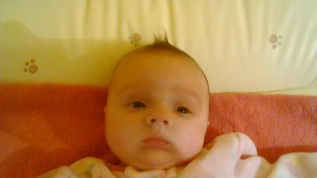 Bild zu 