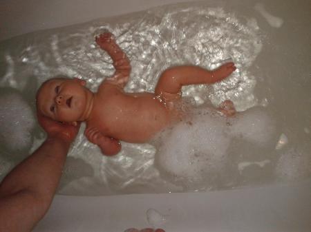 Bild zu