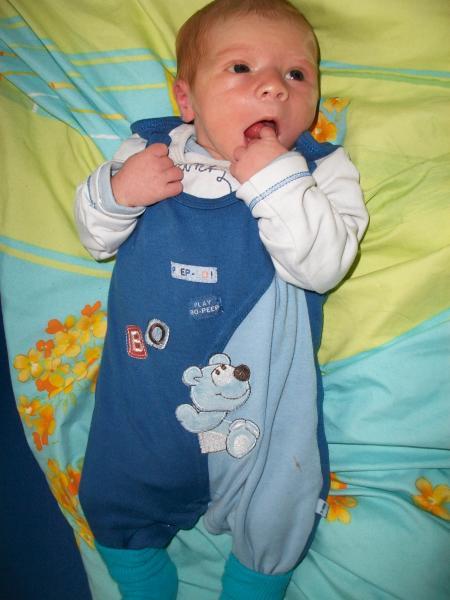 Bild zu