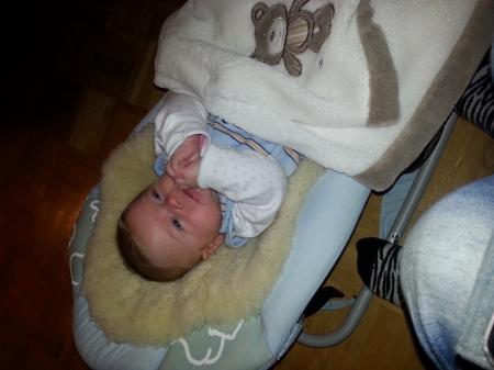 Bild zu