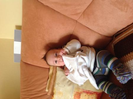 Bild zu