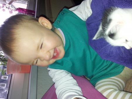 Bild zu