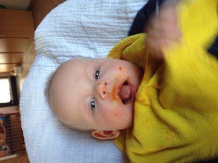 Bild zu
