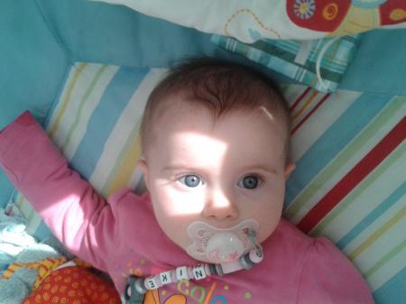 Bild zu