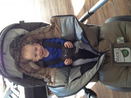 Bild zu