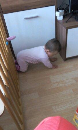 Bild zu