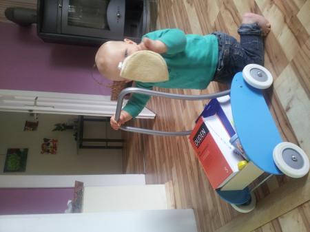 Bild zu 
