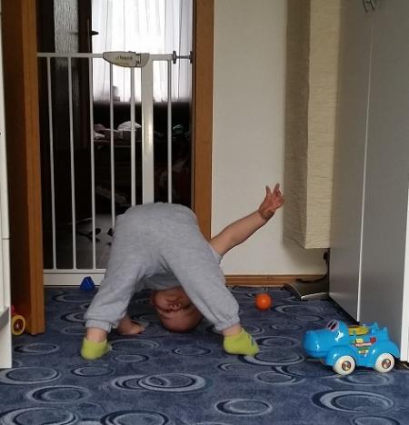 Bild zu