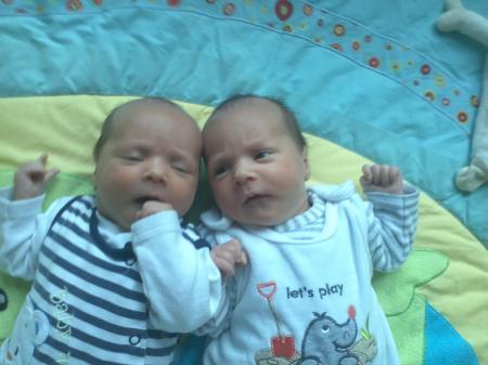 Bild zu kleiner Bericht über meine Zwillinge - Forum für September - Mamis