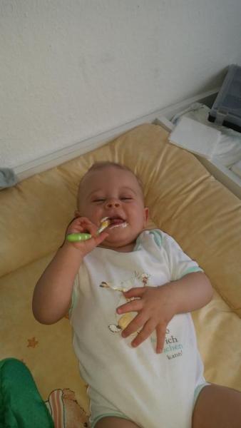 Bild zu