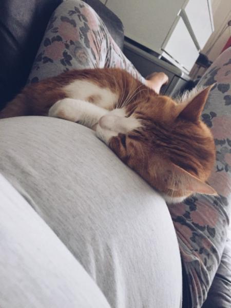 Bild zu Ich hoffe .. - Forum für September - Mamis