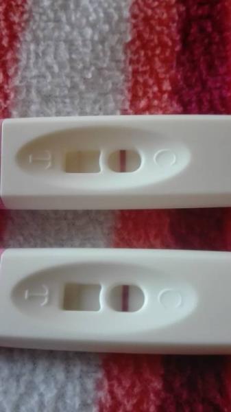 Bild zu Meine Tests - Forum für September - Mamis