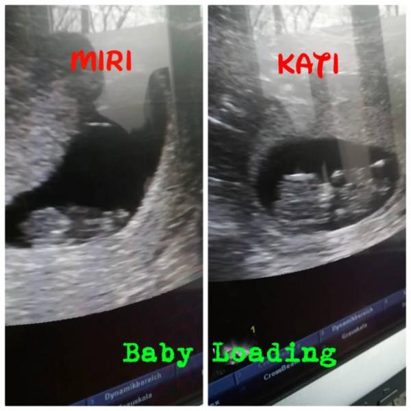 Bild zu US zu zweit 🤰💕 - Forum für September - Mamis