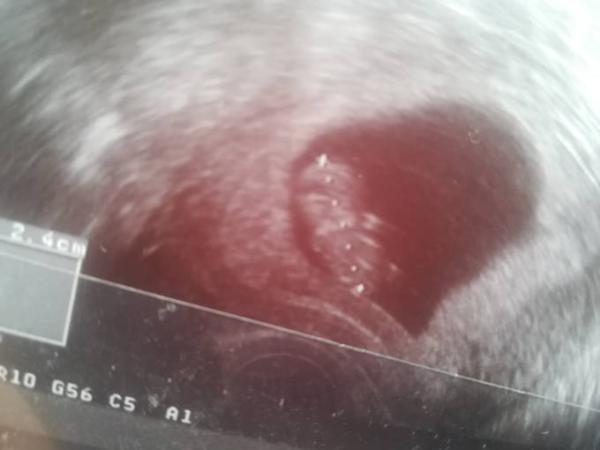 Bild zu Bin wieder daheim - Forum für September - Mamis