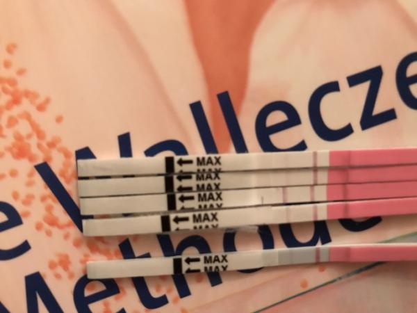 Bild zu Der Test wird schwächer - Forum für September - Mamis