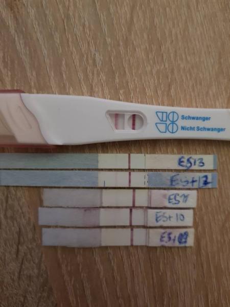 Bild zu Endlich steigt das hcg - Forum für September - Mamis