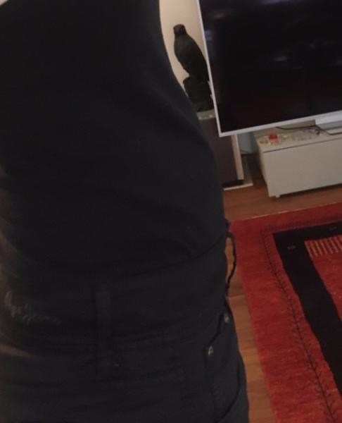 Bild zu 
