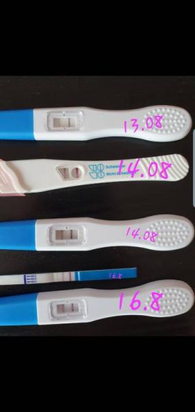 Bild zu Hallo :) - Forum für September - Mamis
