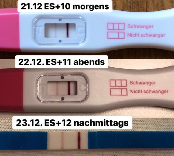 Bild zu Fiebern auf den 25.12. NMT - Forum für September - Mamis