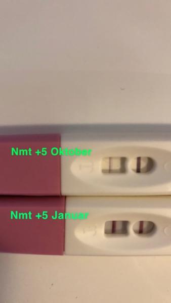 Bild zu SS Tests - Forum für September - Mamis