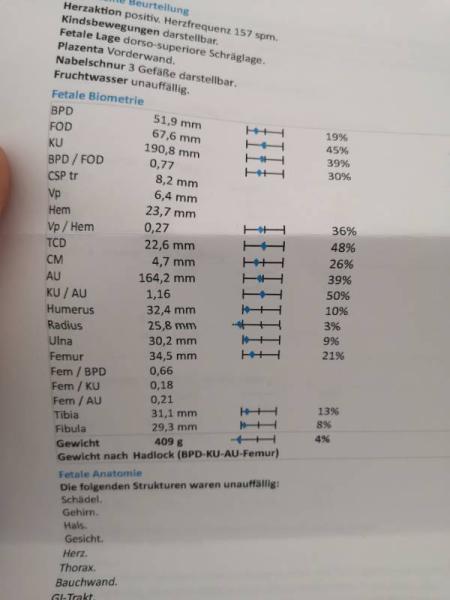 Bild zu Update Feindiagnostik - Forum für September - Mamis