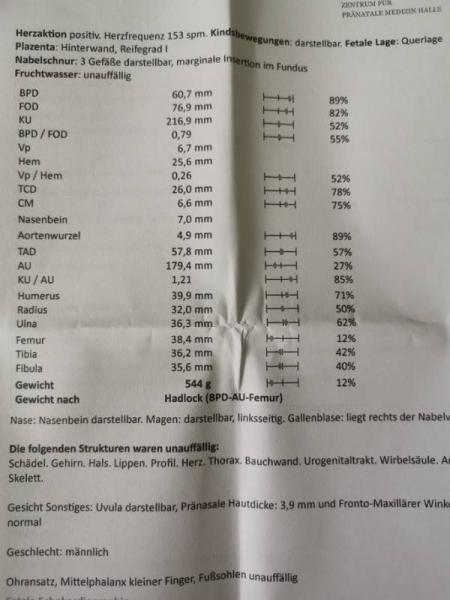 Bild zu 