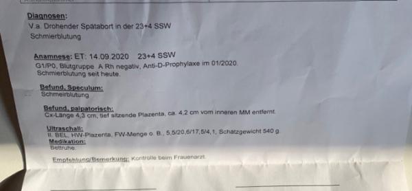 Bild zu Heute Termin - Forum für September - Mamis