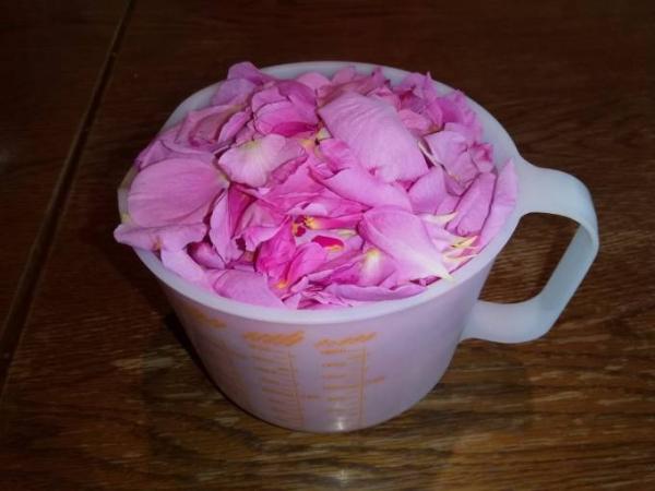 Bild zu Es ist wieder Rosenzeit - köstlich... - Forum für September - Mamis