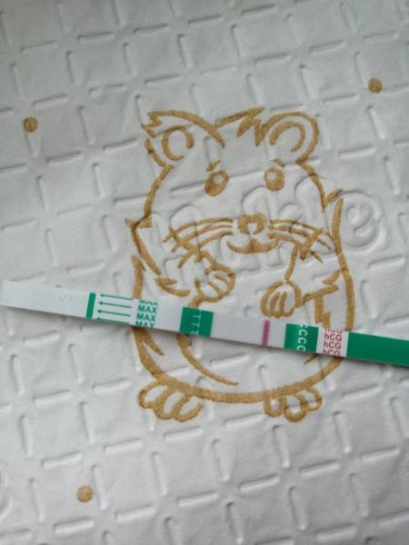 Bild zu Eigenes Hcg oder Spritzenreste - Forum für September - Mamis