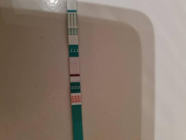 Bild zu ich verstehe nicht? - Forum für September - Mamis