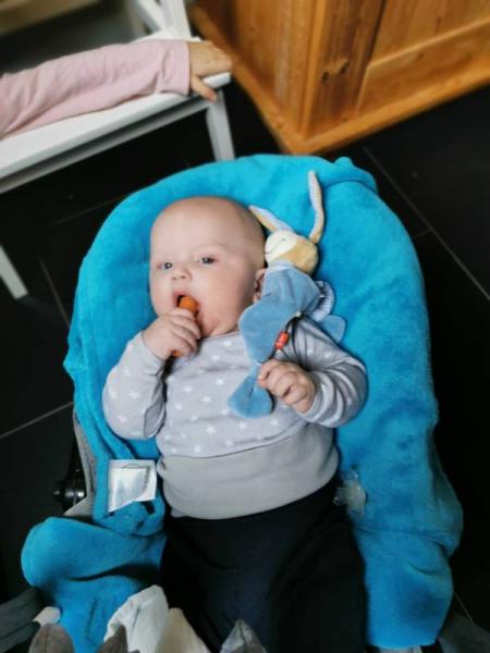 Bild zu 